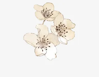 三朵水彩桃花免抠