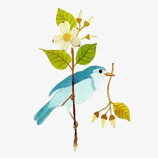 水彩 叼着树枝的鸟免抠