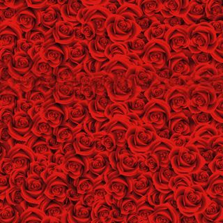 红色密集玫瑰背景设计