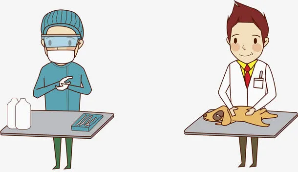 手绘多彩兽医免抠