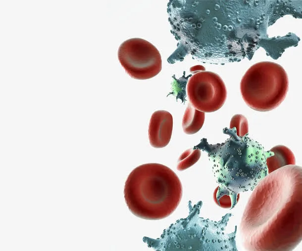 磨菇状和球形微生物免抠