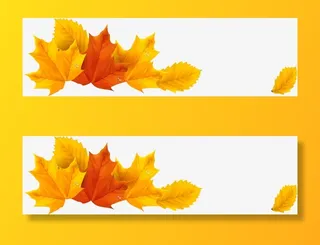 秋天枫叶树叶免抠