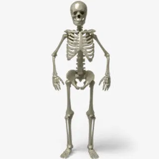 万圣节质感骷髅图标免抠