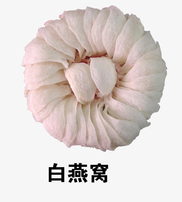 白燕窝免抠