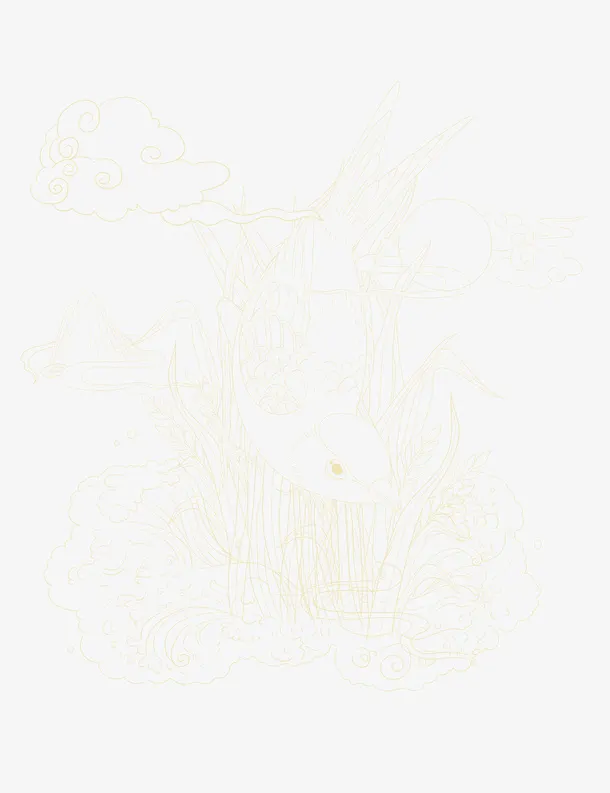 水稻背景纹理
