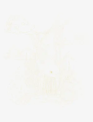 水稻背景纹理