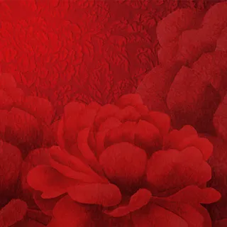 牡丹底纹图高清