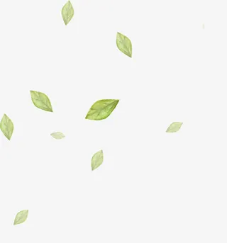 漂浮树叶免抠