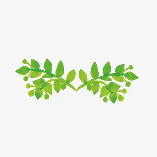 绿叶边框免抠