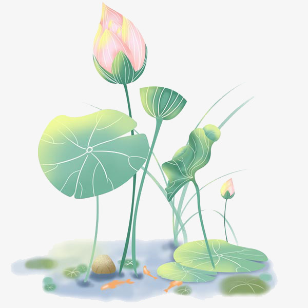 夏天湖面荷花免抠装饰植物元素