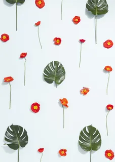 红色花朵黄芯绿叶免抠