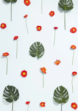 红色花朵黄芯绿叶免抠