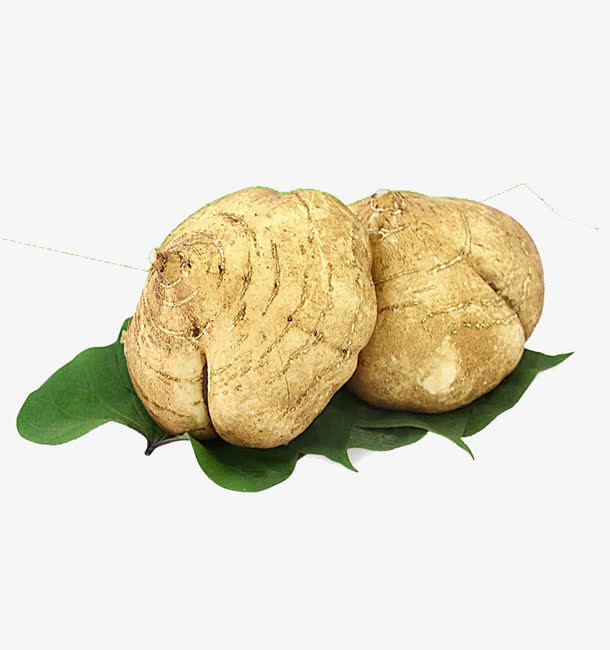 凉薯地瓜素材免抠