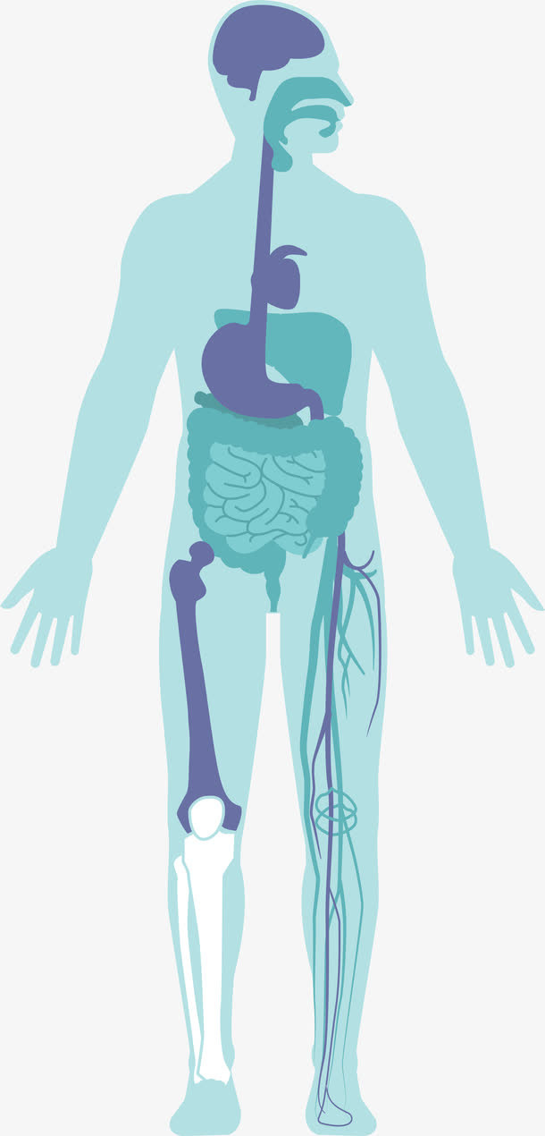 绿色简约人头免抠