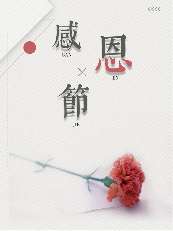 简约感恩节康乃馨海报背景psd高清