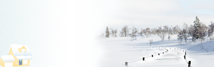 冬天雪景松树banner高清