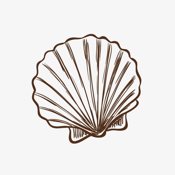 手绘贝壳免抠