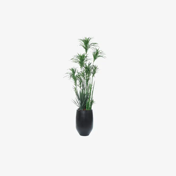 绿色装饰植物春季边框绿植花朵元素免抠