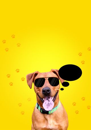 小清新可爱卡通萌宠馆促销海报背景素材高清