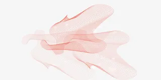 不规则红色线条网状免抠