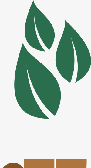 绿茶茶叶普洱茶叶免抠