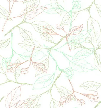 手绘线条春天花朵树叶免抠