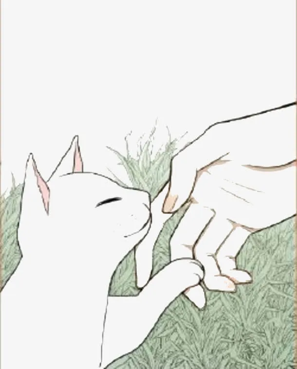 手绘猫咪免抠