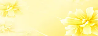 黄色花朵背景高清