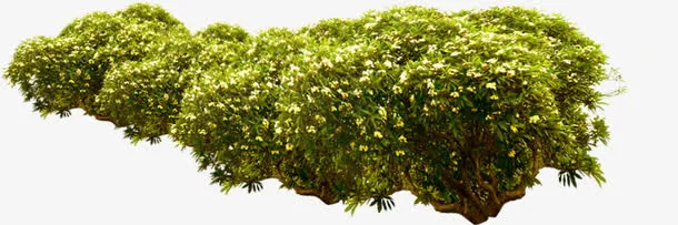 韩国唯美小山免抠