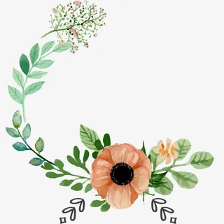 花边 手绘  边框 底纹 卡通免抠