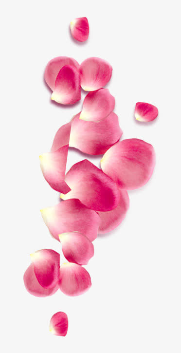 花瓣免抠