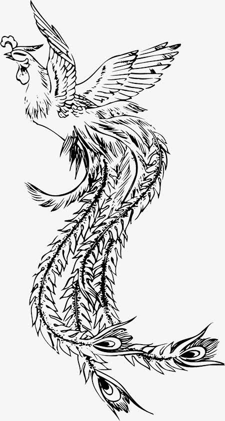黑色凤凰免抠