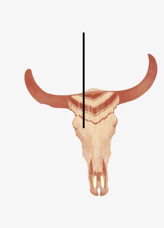 民族风斗牛免抠