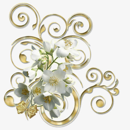 白色鲜花金色花藤免抠