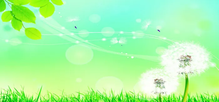 手绘春风蒲公英绿色清新banner背景高清