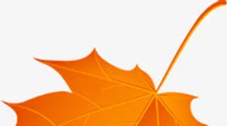 黄色手绘秋季枫叶树枝免抠