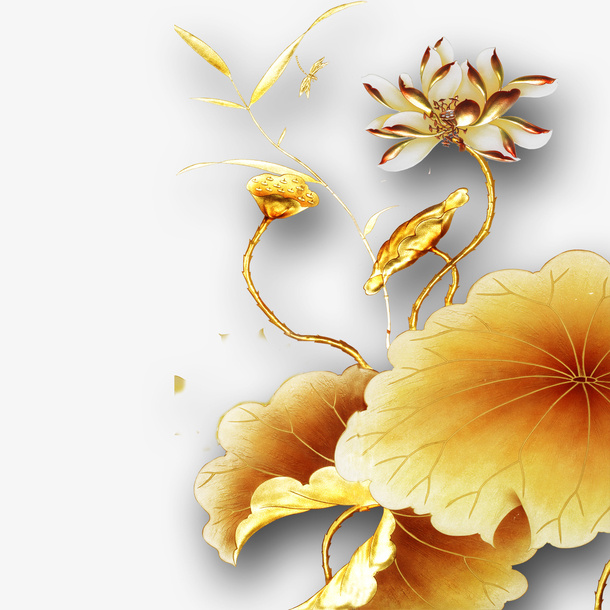 金色荷花免抠