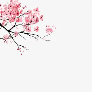 鲜艳美丽的桃花免抠动植物植物元素