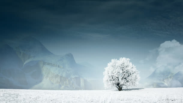 下雪天树木结冰高清壁纸免抠