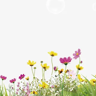 鲜花草地免抠