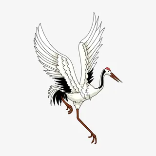 白鹤展翅手绘插画png免抠