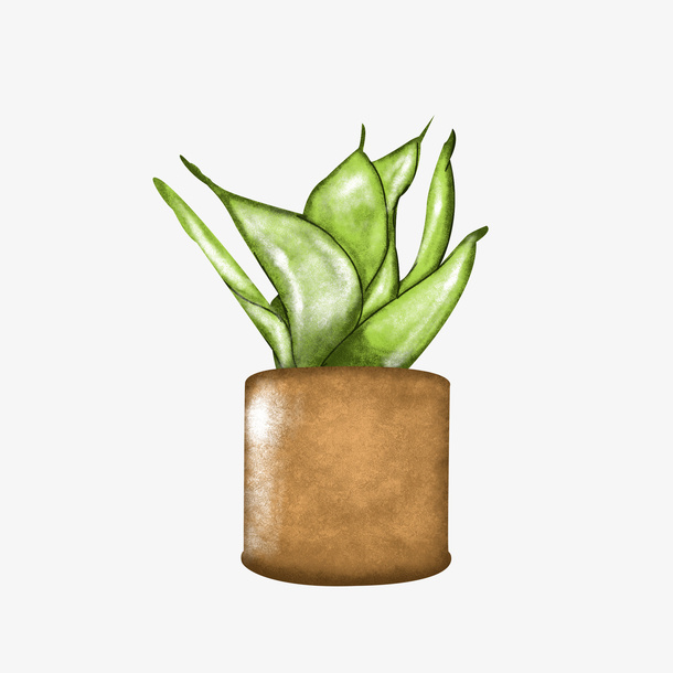 手绘虎兰盆栽免抠
