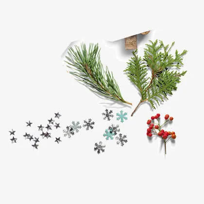 圣诞植物装饰免抠