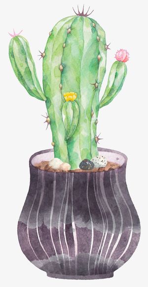 水彩绿化观赏盆栽装饰图案免抠