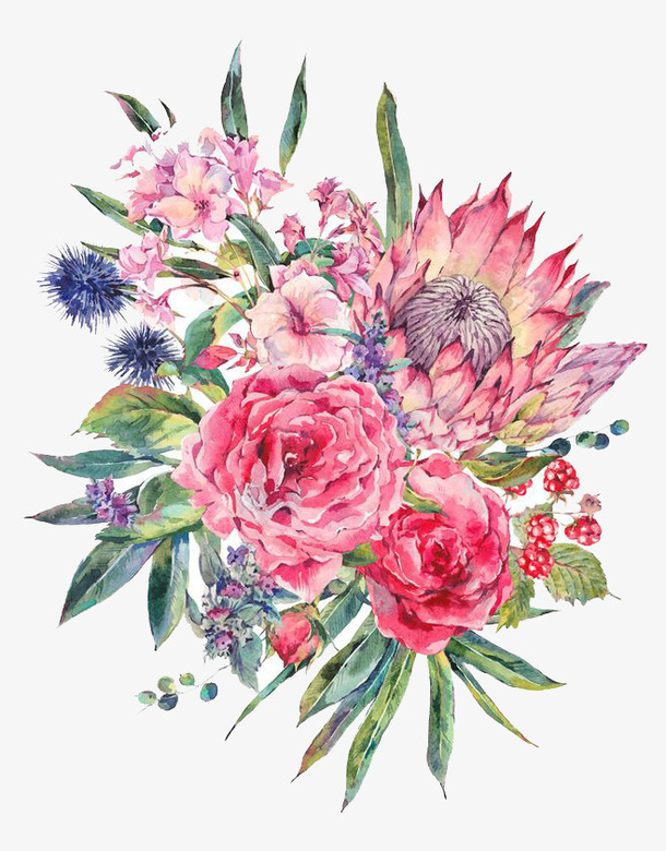 水彩鲜花免抠