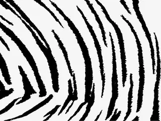 底纹 纹理 背景 动物纹理