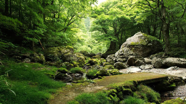 青山绿水里的小树林免抠