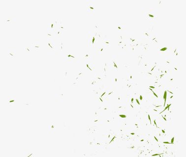 空中飞舞的绿叶小清新免抠