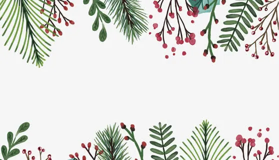 矢量圣诞树叶花边免抠