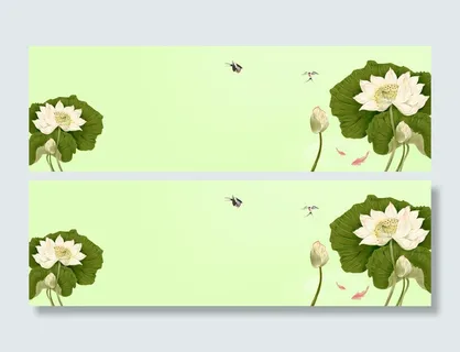 2017荷花淘宝海报背景高清